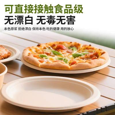 食品级加厚耐高温纸浆餐盘可降解