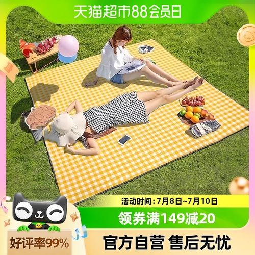 户外野餐垫防潮布野外便携地垫露营防水帐篷郊游草坪春游垫子加厚