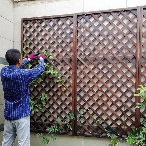木网格植物爬藤架客厅壁挂装饰室内阳台靠墙上绿萝悬挂式花架子
