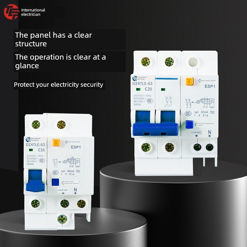 国际电工漏电e保护开关家用2P63Aa空气开关带断路器总开关空气开