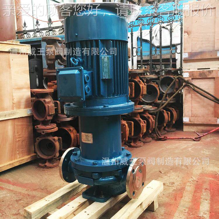 程直销CQG-L立式管道型不化锈钢耐腐磁力泵蚀CQ工G125-125LTEE工