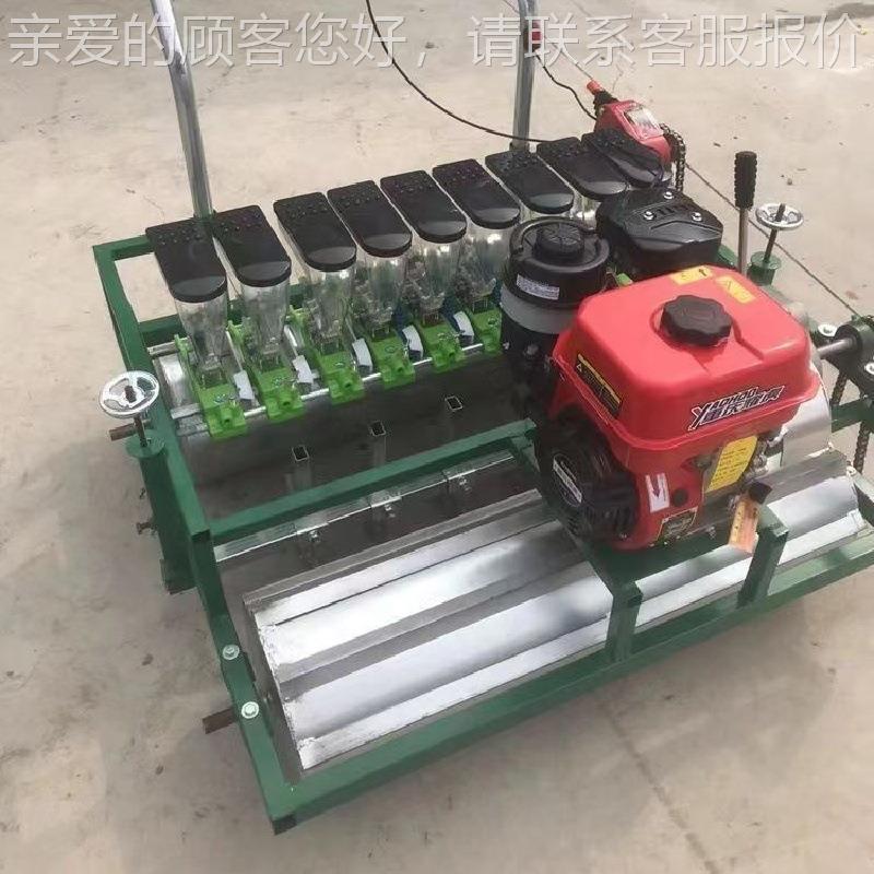双排汽油精量点播机距药材 种子施肥距播种机 株行RDT可调精播机