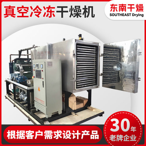 东南供应FD真空冷冻干燥机原理 活性酶液体冻干机 水果干烘干机