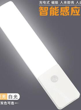 小夜灯led人体感应灯床头卧室光控充电衣柜感应楼道宿舍自动