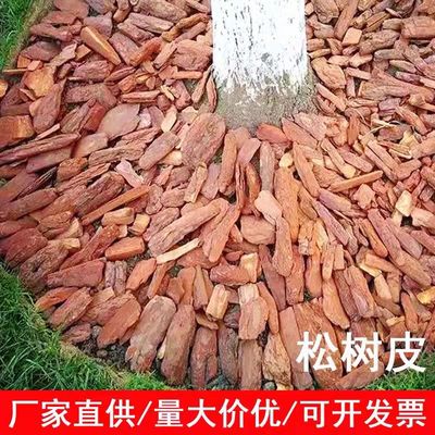 打磨松鳞松树皮有机覆盖物树穴树坑花园庭院别墅造景土壤覆土抑草