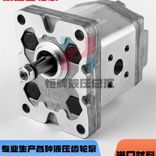 3.3 4.2 马祖奇MARZOCCHI齿轮泵1PD1.6 6.7 2.5 5.8 7.5油泵