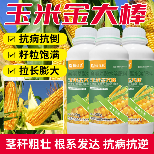玉米金大棒水溶肥料叶面肥膨w大拉长增粗抗倒伏抗病抗旱防秃尖促