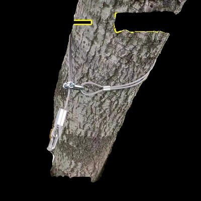 304不锈钢钢丝绳细软包塑钢丝E绳起重弹簧绳晾衣绳送软套包邮