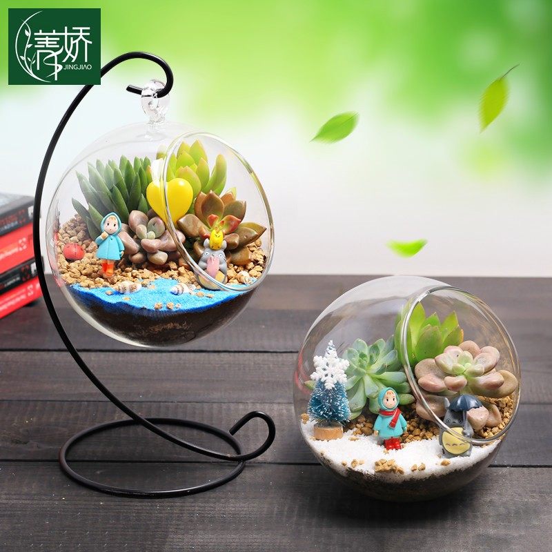 12cm多肉微景观生态瓶DIY材料包 可吊挂生态瓶装饰小摆件植物盆景