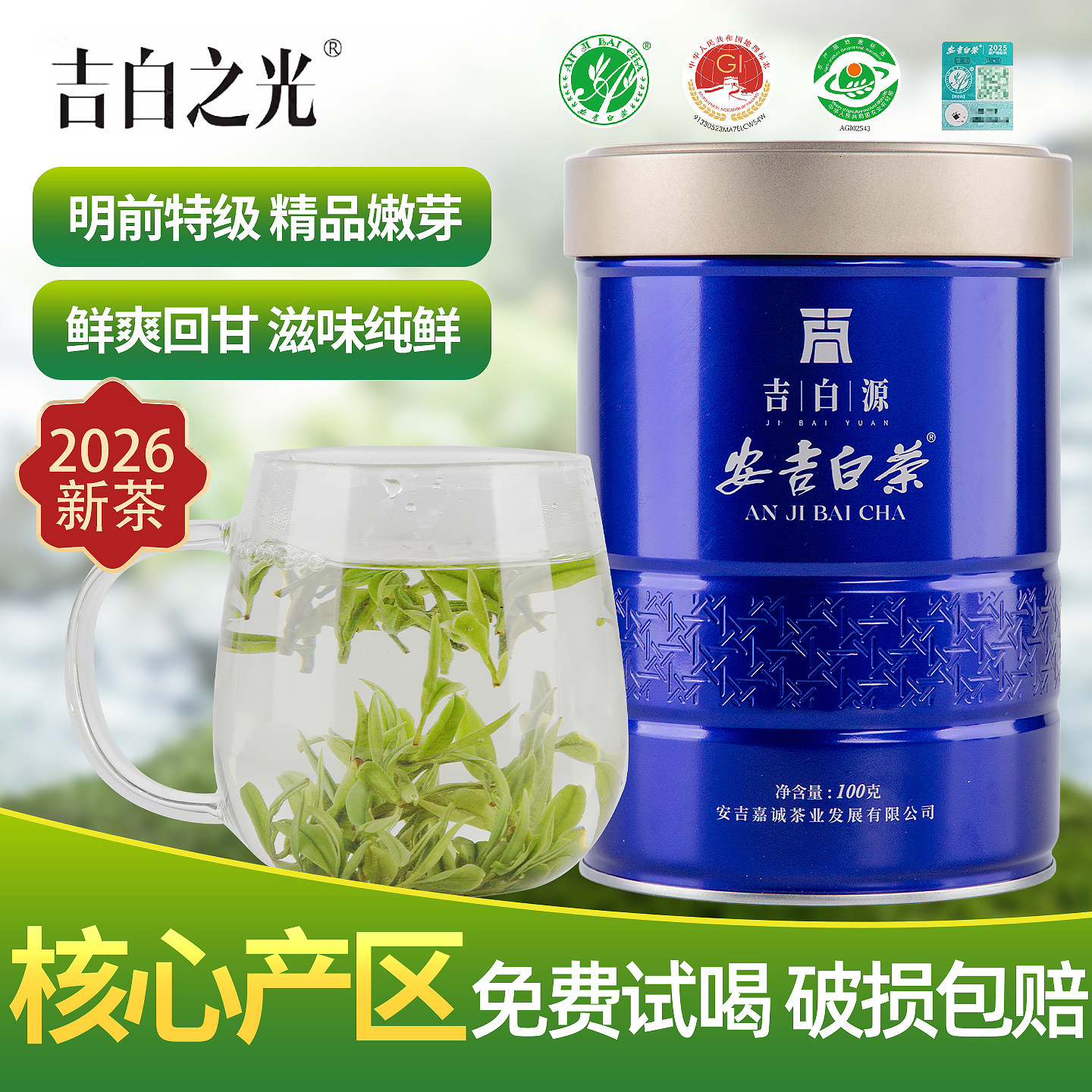 2026新茶上市吉白之光明前特级安吉白茶正宗原产地高山绿茶春茶叶