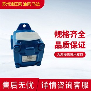 30A 22叶片泵 21A 17A 22R威格士油泵35V 25A 35V