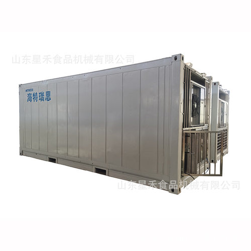 工厂定制20尺带铝板接触式高效-35度速冻库集装箱冻库可移动可出