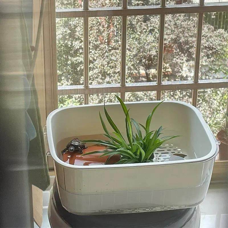 乌龟饲养缸盆沥水篮躲避屋家用桌面小型巴西龟晒台鱼缸换水方便,餐饮具,洗菜盆/沥水篮/漏水筛,淘宝优惠券,粉丝福利购,淘宝优惠卷