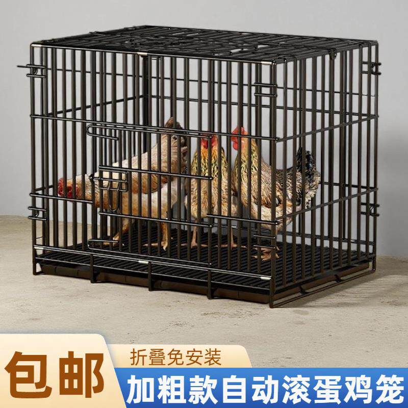 室内外自动滚蛋笼鸡窝室外母鸡清仓笼子室特大号鸭子自动蛋托鸡笼