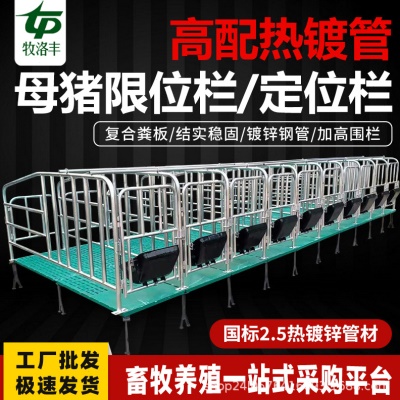 母猪定位栏热镀锌母猪限位栏落育猪用猪圈栏位复合漏粪板