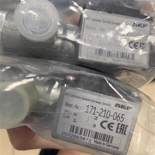 210 171 065 vogel流量开关 SKF