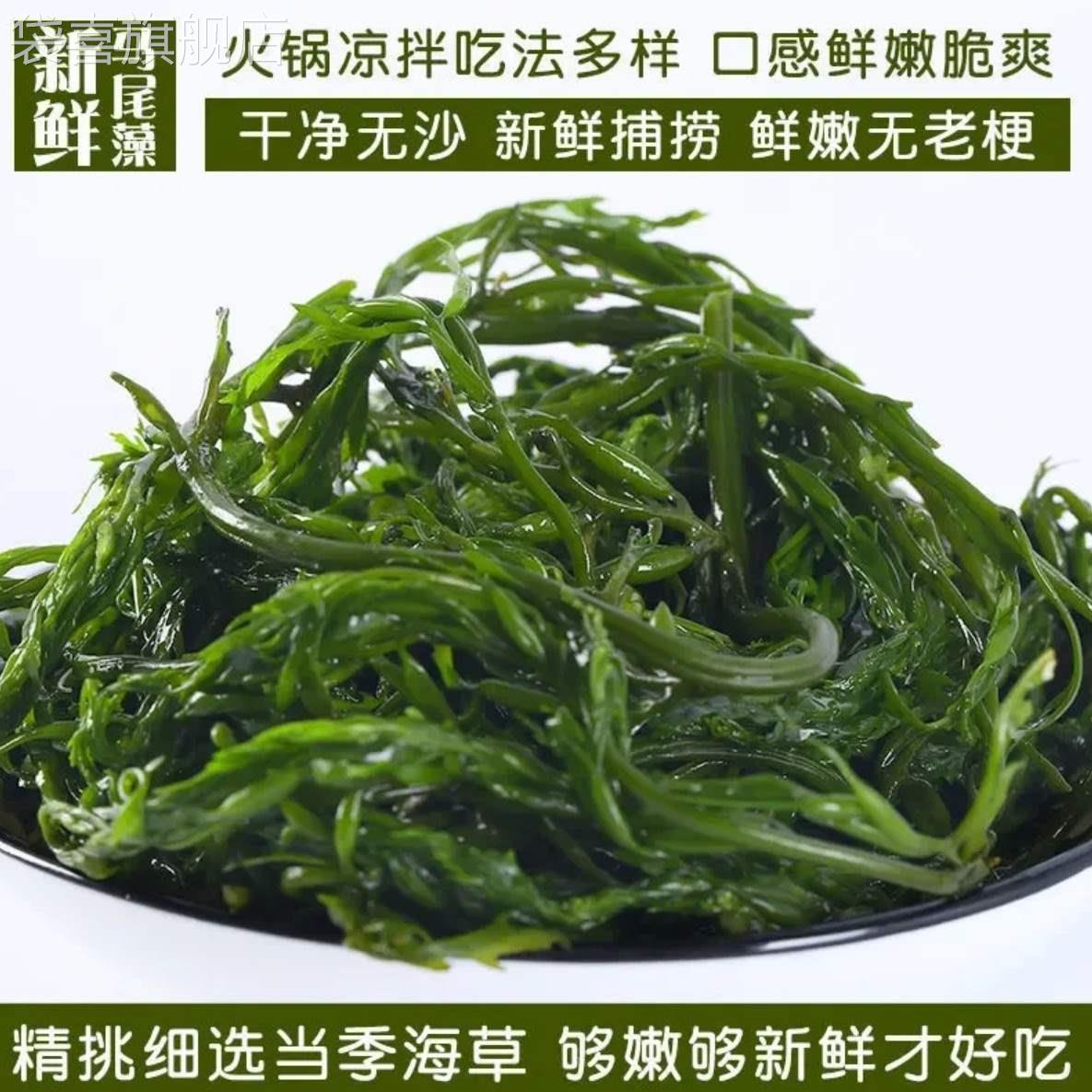 鞭炮笋长寿菜凉拌菜盐渍马尾藻火锅食材海麻辣烫炮仗笋海草鞭泡笋