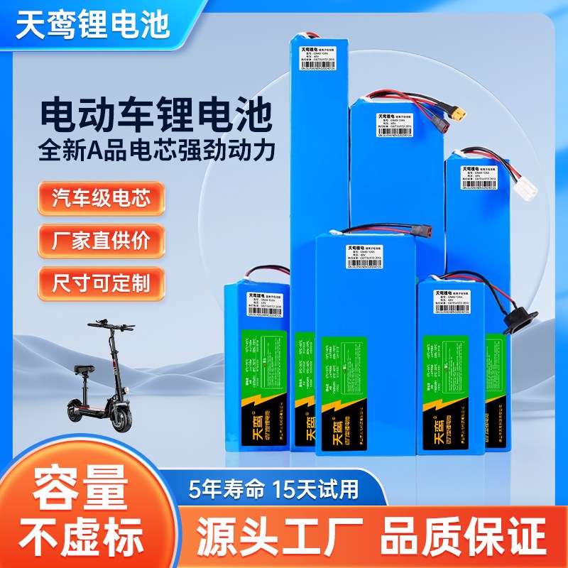 天鸾锂电池36V48V代驾外卖折叠滑板儿童扭扭车新能源电动车锂电池