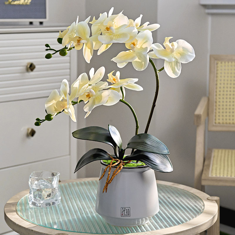 2024新款蝴蝶兰仿真花高品质假花干花摆设高级仿生花摆件餐桌摆花