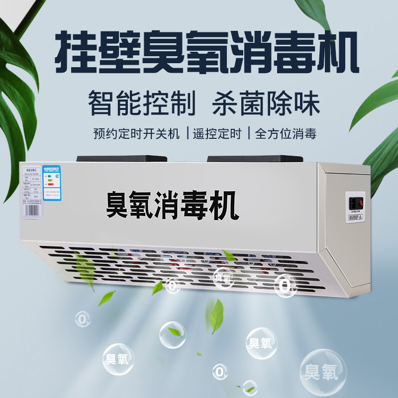 壁挂式臭氧发生器消毒机食品厂车间垃圾分类房商用10g20g除臭杀菌