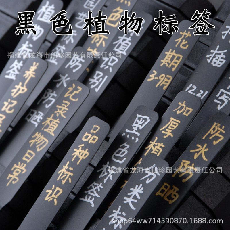 多肉标签一型插牌小标注神器园艺植物花卉标签塑料防水标记标识牌