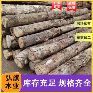 杨木原木包装箱木板衣柜家具材防腐杨木实木烘干板规格齐全