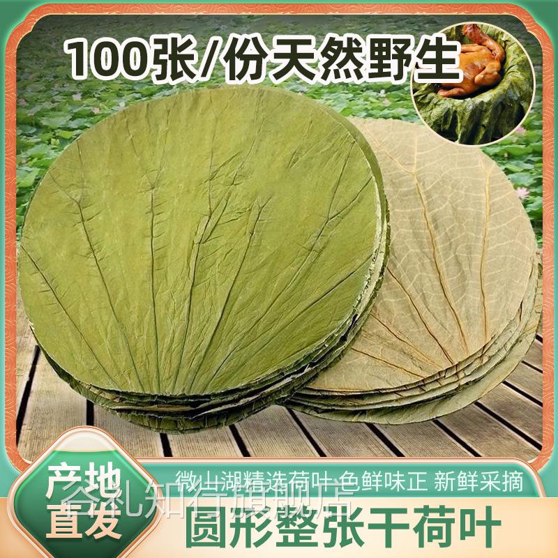 糯米鸡专用荷叶整张糯米鸡荷叶茶叶天然无硫微山湖天然100张圆形