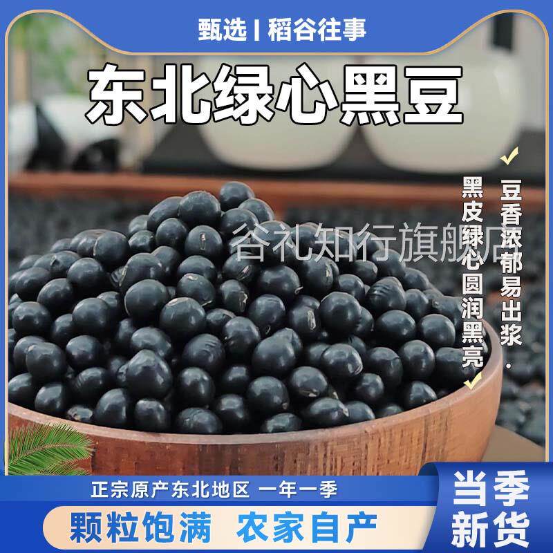 绿芯黑豆新货东北大黑豆子青仁绿心发豆芽醋泡杂粮五谷打豆浆专用