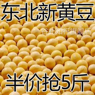 东北新黄豆非转基因大豆打豆浆新鲜发豆芽10g 5斤特价