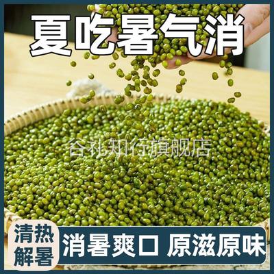 当季新货上市东北新绿豆粒粒饱满大粒绿豆粥清热解暑好煮烂易出沙