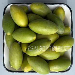 福建闽清生吃青橄榄橄榄果福建闽清老树檀香橄榄青果煲汤水果包