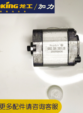 龙工加力合力电动叉车配件齿轮泵HDK0.5D0.38B1L0B