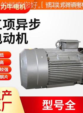 Y交9流0L-2-2.2三相异步电动机 380V三相电机 耐腐纯铜线295电马