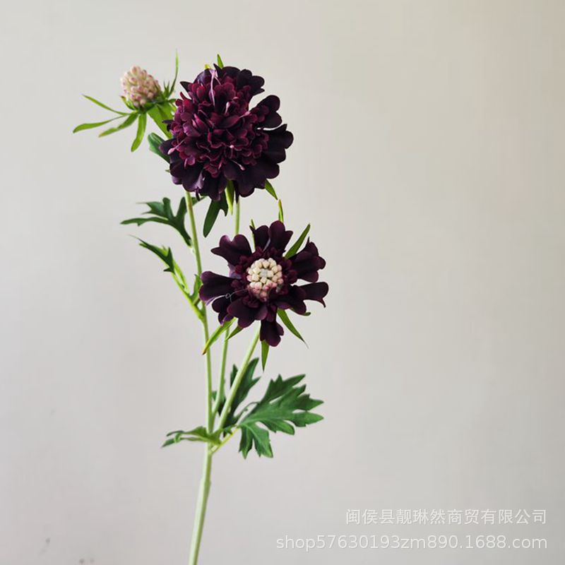 仿真花 松虫草 轮峰菊 单枝假花 室内家居花艺 软装陈设 摄影道具