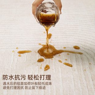 沙发卧室轻奢高级感免洗可擦家用隔音地垫 奶油风地毯客厅2025新款