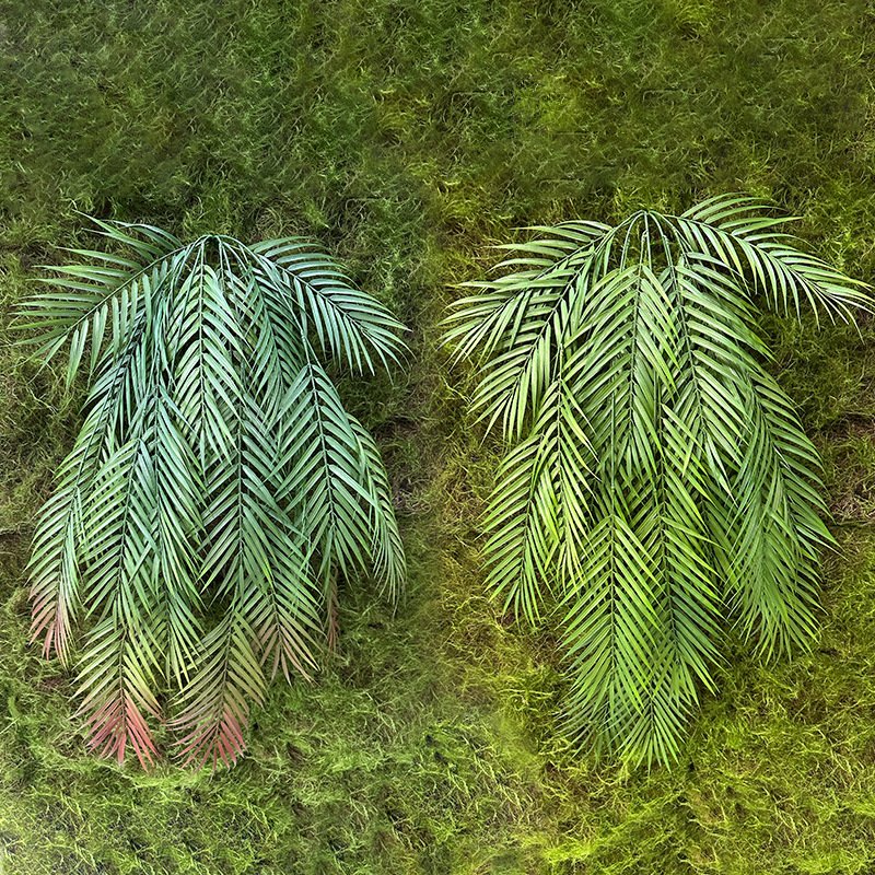 亚马逊仿真壁挂大型散尾葵人造悬挂蕨类植物藤蔓悬挂绿色植物盆栽