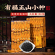 正山小种红茶浓香型特级正宗武夷山高山茶叶养胃新茶小袋装 500g
