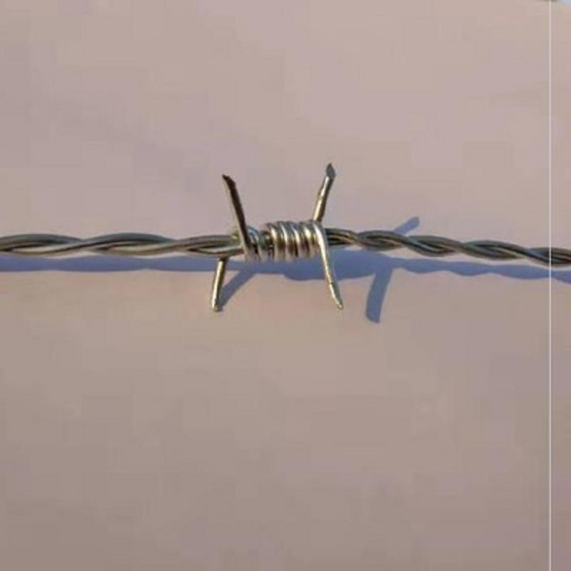 护栏网防爬d铁蒺藜刺绳带刺铁丝牛场栅栏防爬刺别墅院墙鸡鸭鹅钢