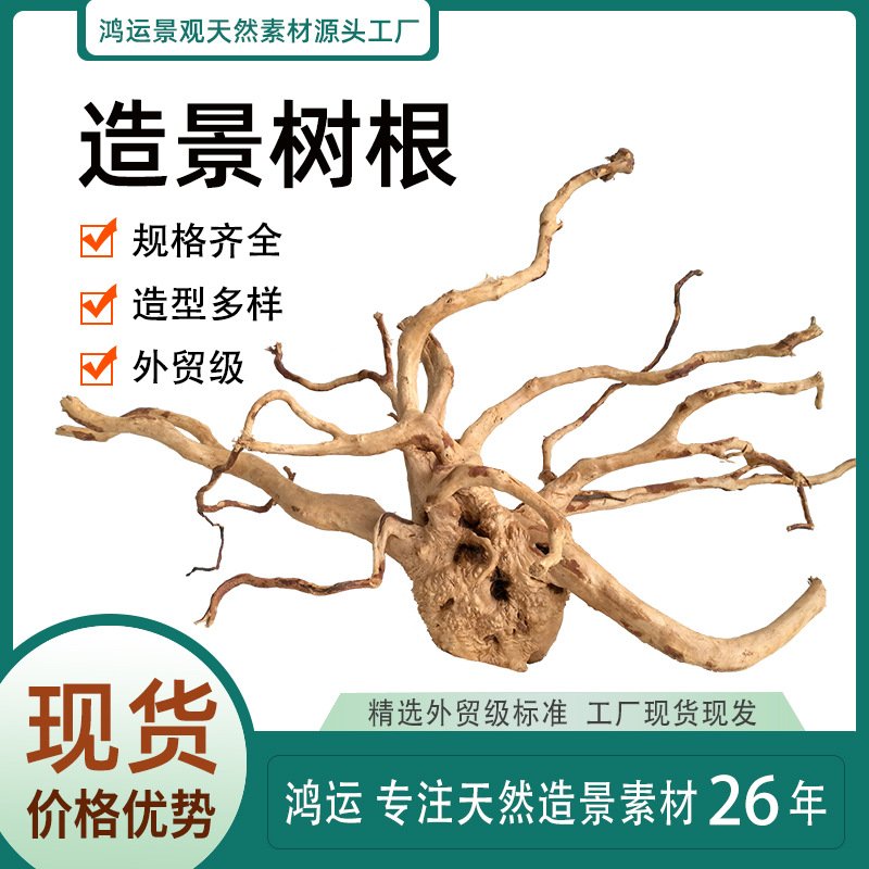 天然 杜鹃根树根枝条沉木栖根水族鱼草缸造景爬宠装饰 Wood Root