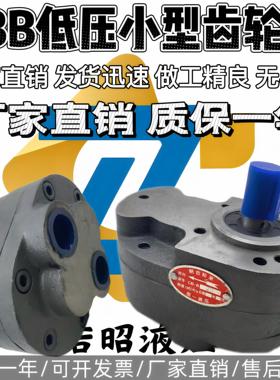 CBB锯床润滑CB-B2.5/B4/B6/B10/B16/B20/B25/B32液压齿轮泵 油泵