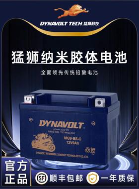 轻骑大韩骁胜gv300gv250 gv650大脚怪坦影250巡风GT650R摩托电瓶