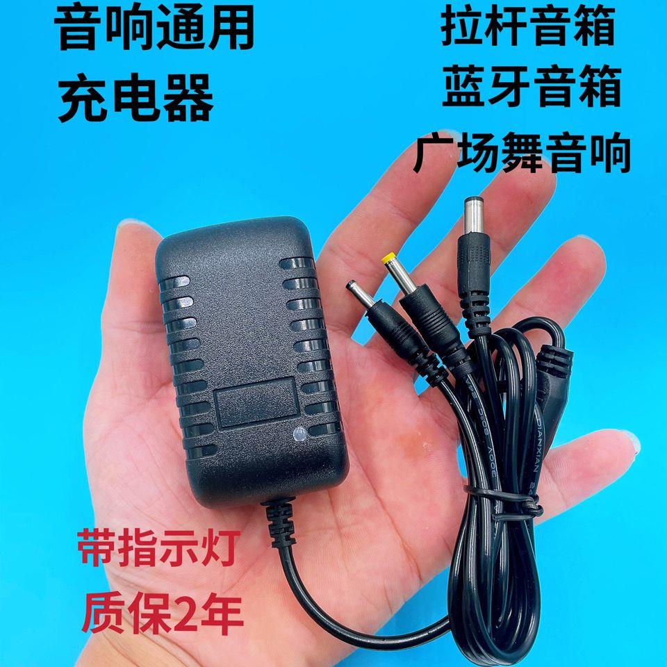 5V9V12V13.5V15V1A2A音响充电器电源音箱广场舞拉杆音响先科索爱