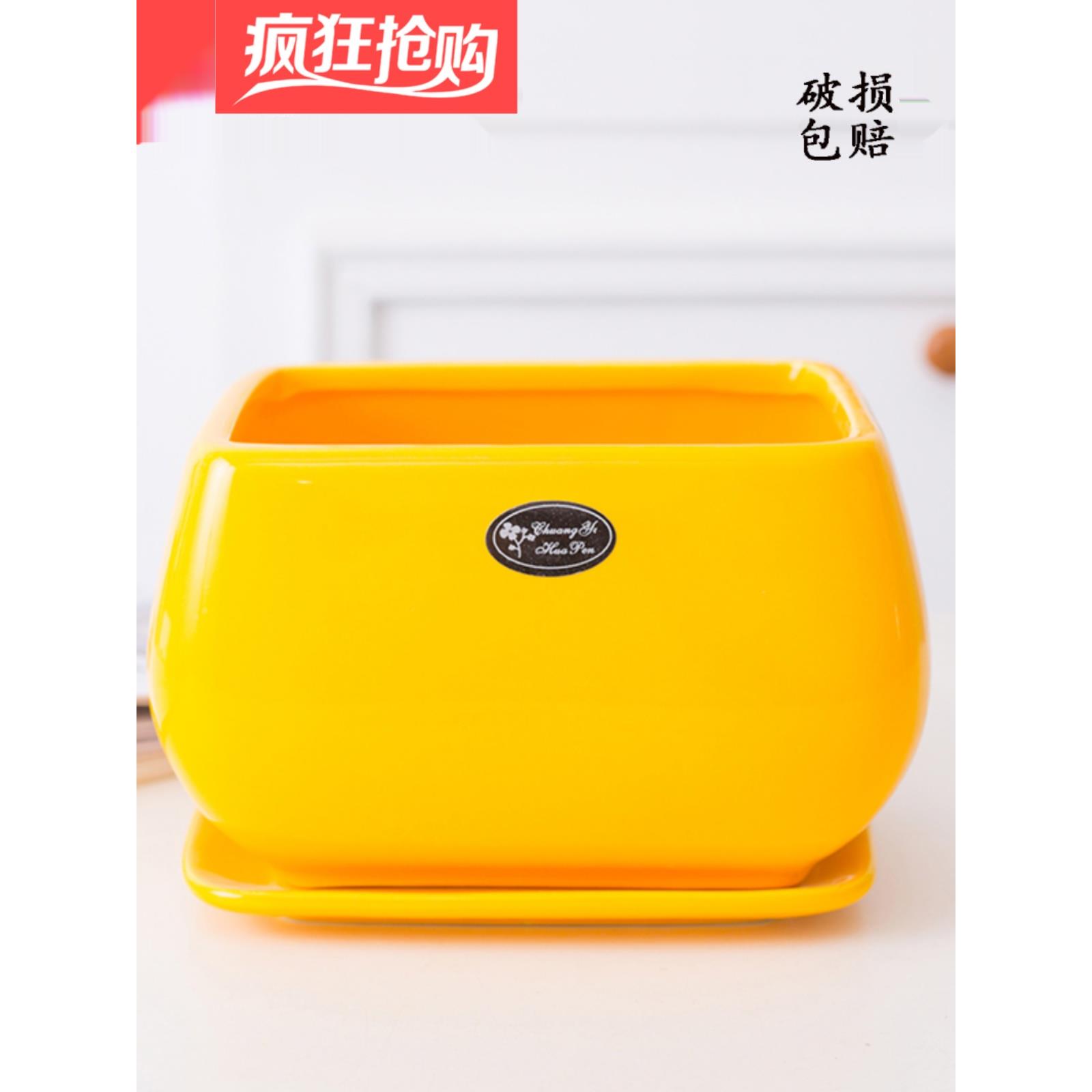 矩形花盆陶瓷大家庭客厅斯堪的纳维亚简单与托盘多肉的花茶Clivia