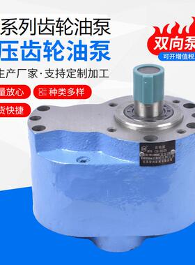 BC-6BC-10BC-16BC-20BC-25齿轮油泵上海机床厂磨床液压油泵