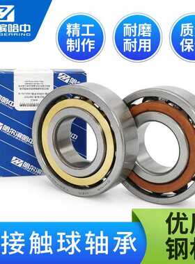 哈尔滨角接触球轴承大全7024 7026 7028 7030 7032 7034 7036 AC