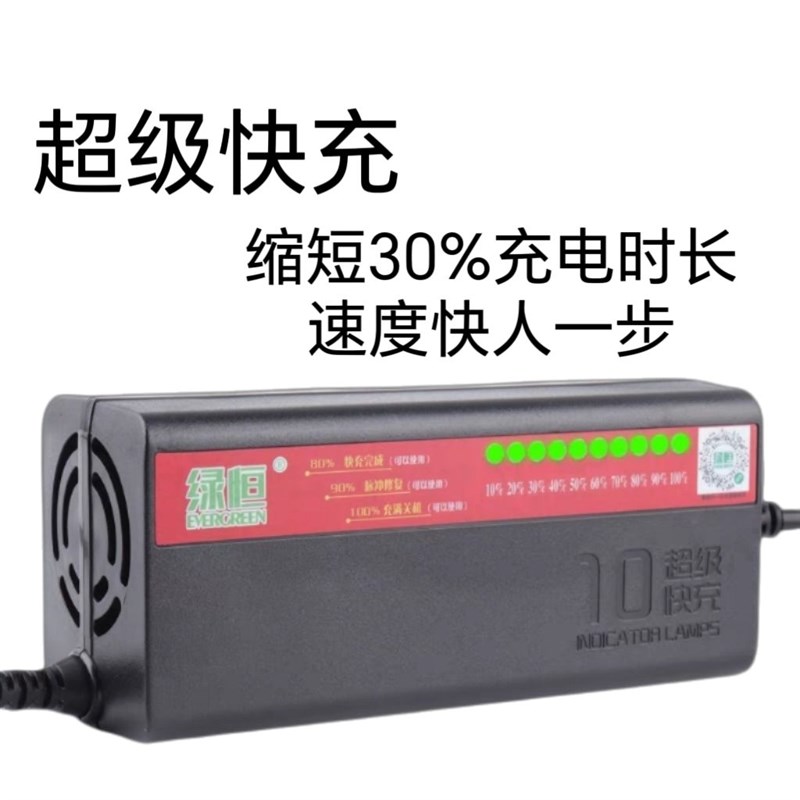 绿恒10灯智能三轮四轮两用充电器快充脉冲修复防阻燃X充满自动关