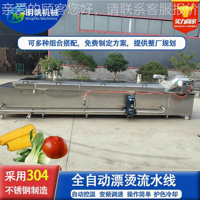 巴氏杀菌机 全自动温杀青漂BNE烫机 低巴杀氏菌机 蔬菜预漂烫煮机,机械设备,消毒灭菌设备,淘宝优惠券,粉丝福利购,淘宝优惠卷