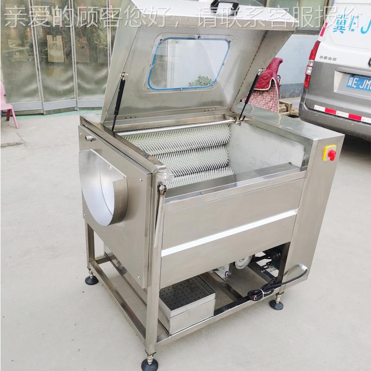 田螺清洗蛎商用新款毛辊扇贝海子海鲜清洗设备自机OEY动全生蚝清