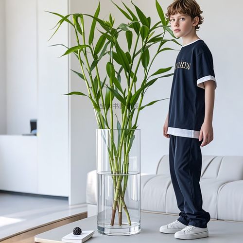 超大富贵竹花瓶高405060cmz大号落地特大号大口径透明玻璃水培器