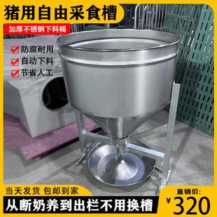 仔猪用自由采食料槽80KG自动下料器保育育肥猪用喂料器养殖场料桶